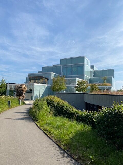 thumbnail_IMG_1565-rotated